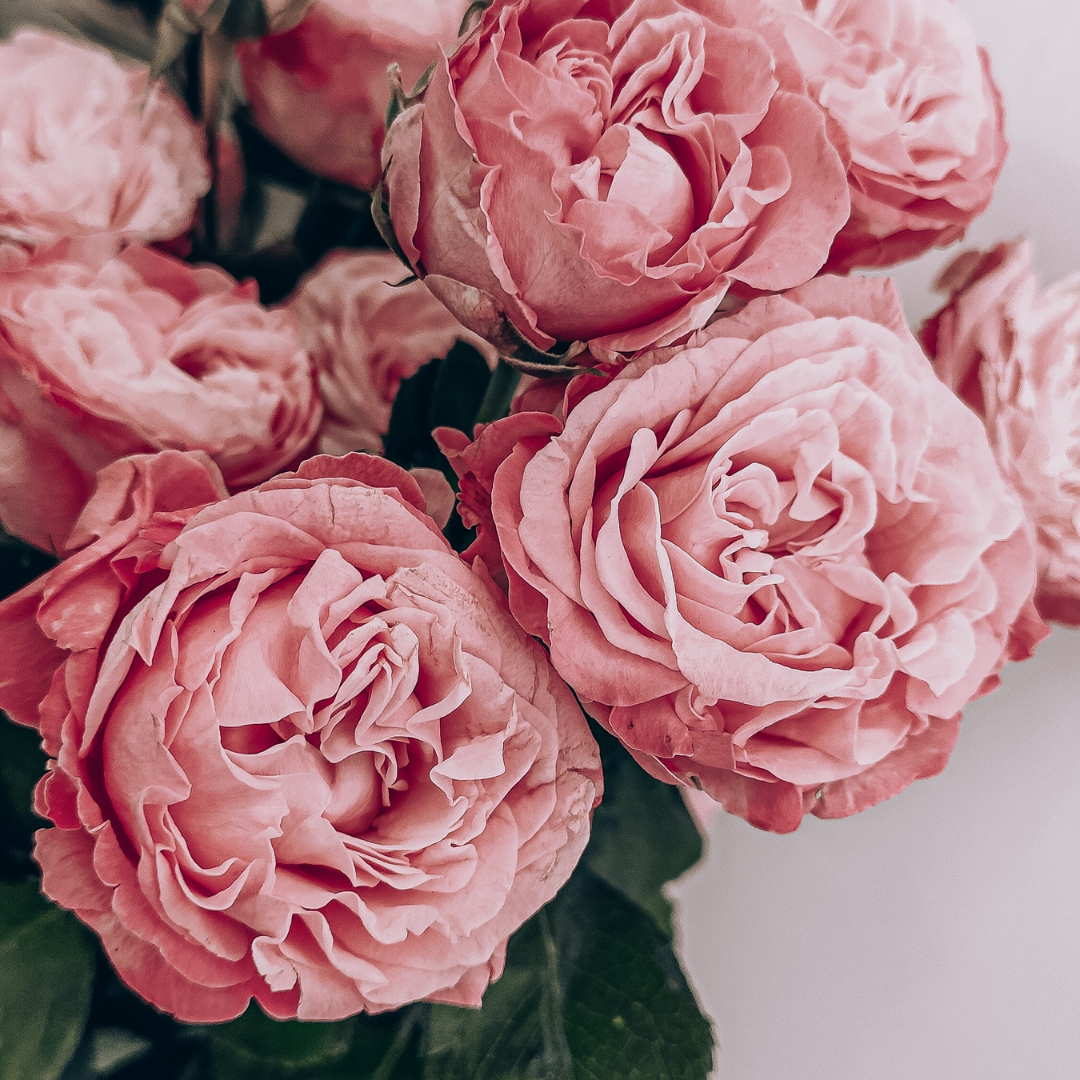 Why-Pamper-Gift-Boxes-Are-the-Perfect-Present Peony Parcel