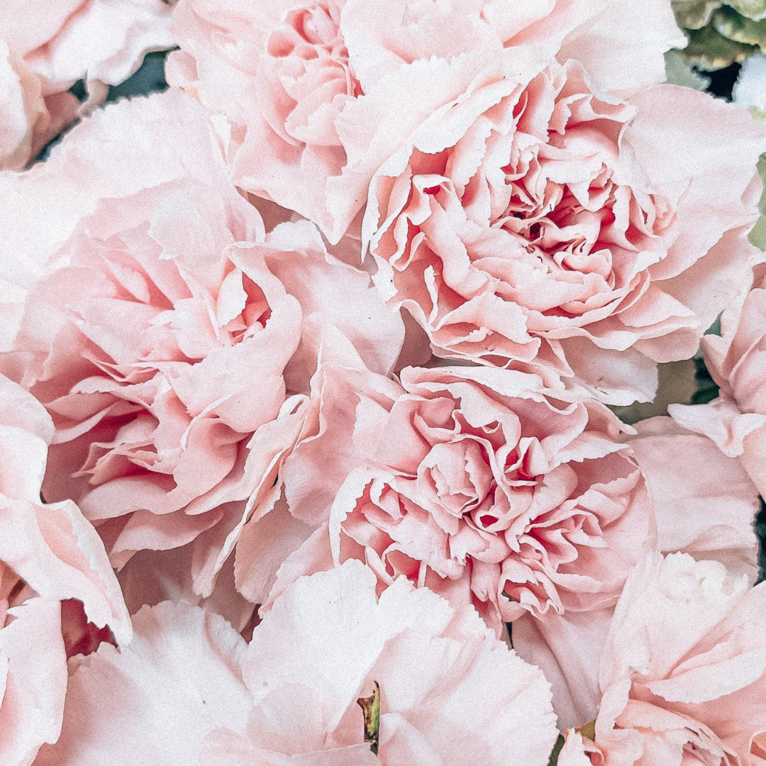 How-to-Create-a-Home-Spa-Experience Peony Parcel