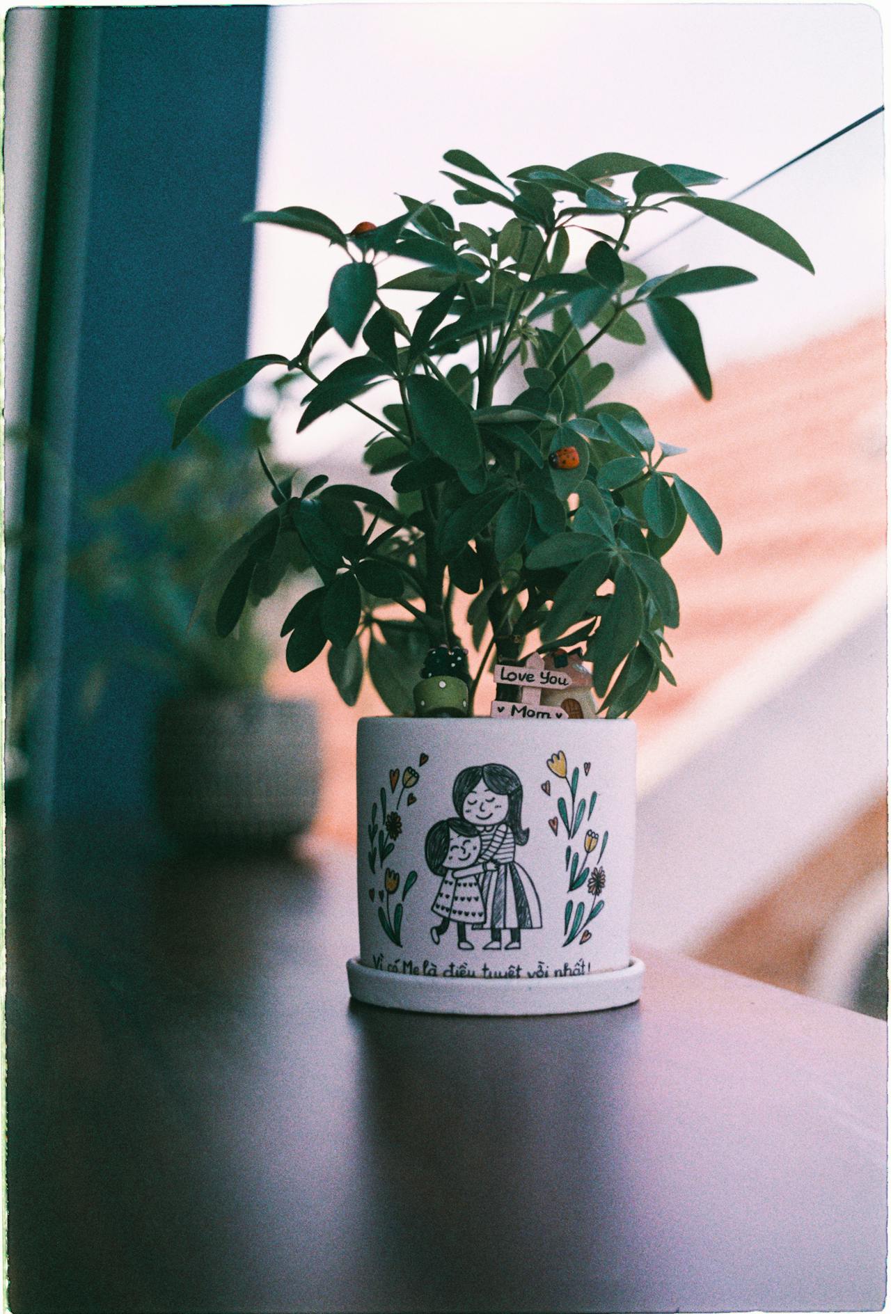 Self Care Gifts Australia